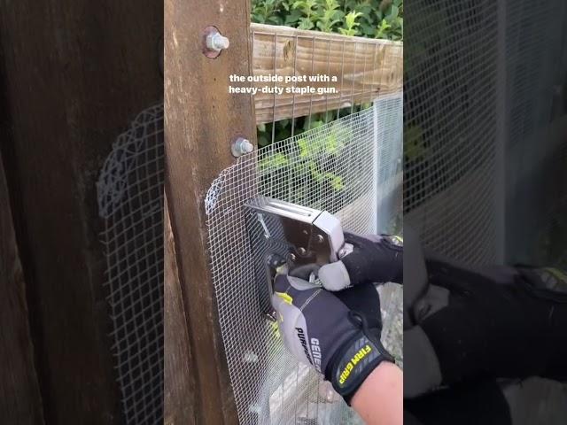Building a DIY Snake Fence for Rattlesnake Safety & Snake Proof Property