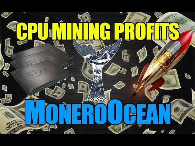 MoneroOcean CPU MINING PROFITS | Bear Run Mining Is Looking GOOD!!