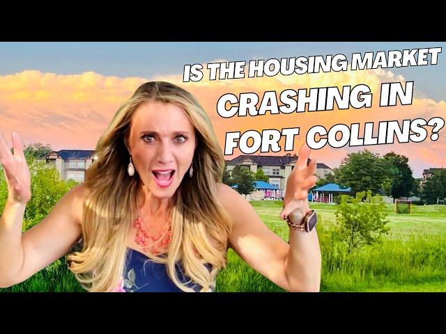 Real Estate in Fort Collins: Everything You Should Know in 2023