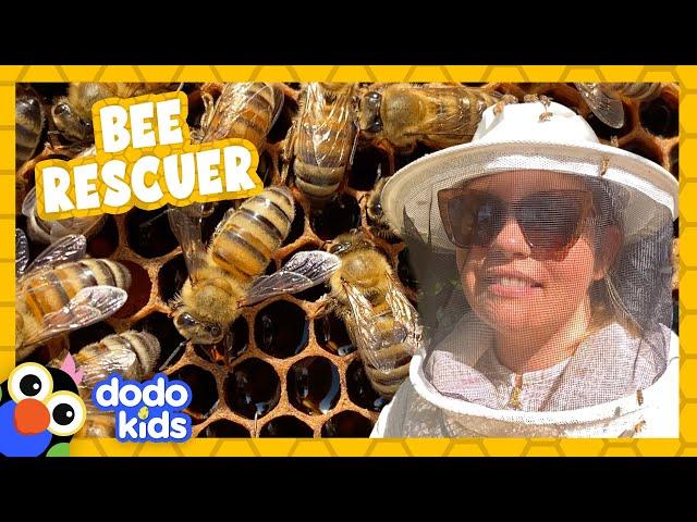 Rescuer Puts On Bee Suit And Saves Handful Of Honey Bees | For The Love Of The Wild | Dodo Kids