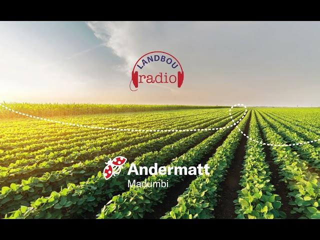 Landbou Radio x Andermatt Madumbi Interview