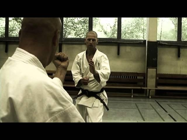 Budo - Basic Fighting Techniques