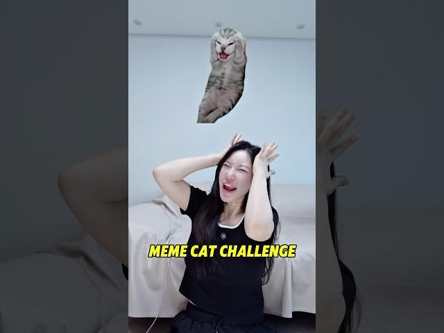밈냥이 맞추기 챌린지 Meme Cat Challenge#shorts
