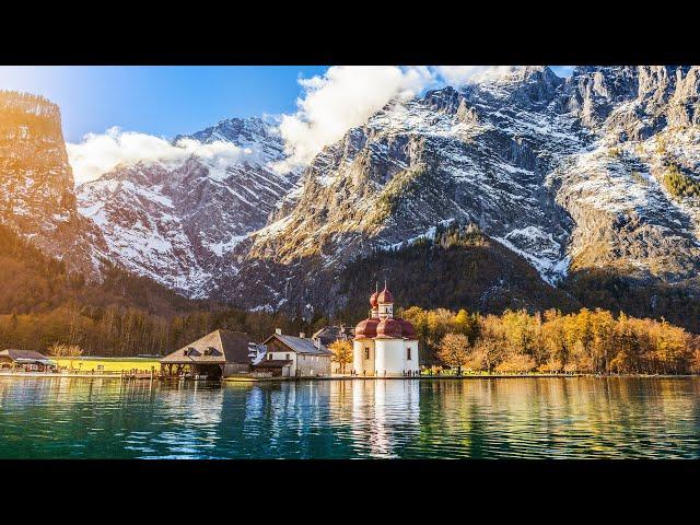 The Hidden Wildlife Within Germany's Breathtaking Alpine Landscapes