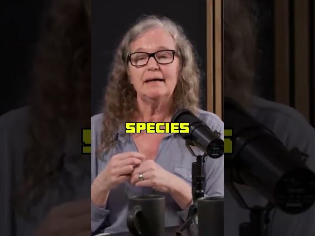  Human-Animal Relationship: A Closer Look