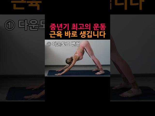 중년기 최고의 운동! 근육 바로 생깁니다