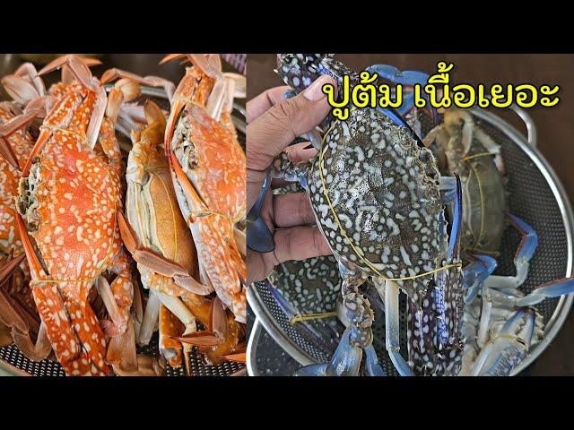 ปูม้าต้ม & นึ่ง ต่างกันยังไง ซีฟู้ดแซ่บๆ |แค่เลchannel