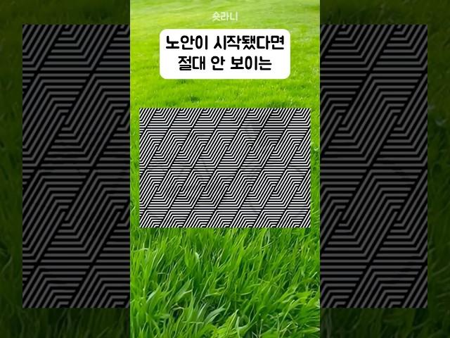 노안은 절대 안보이는 시력나이 테스트 눈건강 퀴즈