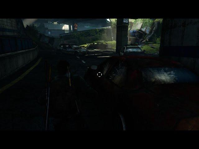 What (TLOU glitches)