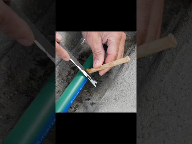 Repair PP-R pipe without turning off the main water! #plumbing #plumber