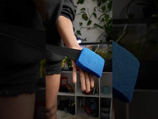 How I clean my fish tank