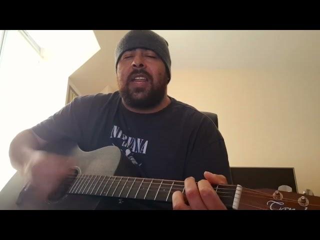 Easily - Red Hot Chili Peppers Cover by Joe Muldoon