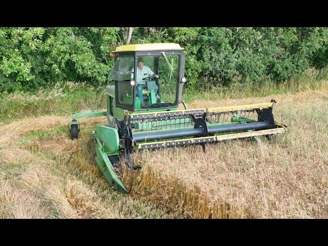 Dave Cutting Winter Wheat In St. Stephen MN, July 16 2024.