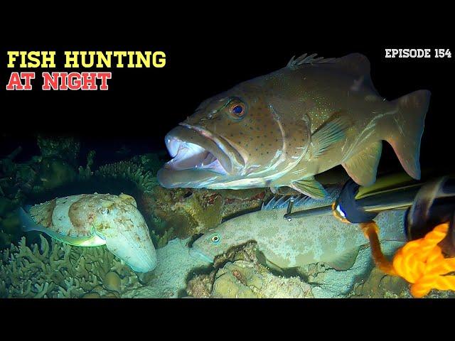 NIGHT SPEAR FISHING EPISODE 154 | FISH HUNTING AT NIGHT