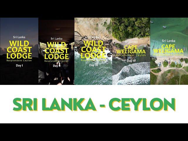 Exploring Resplendent Ceylon: Sri Lanka Travel Experience 2023 | Wild Coast Lodge & Cape Weligama