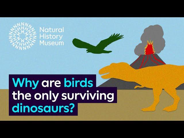 Why are birds the only surviving dinosaurs?