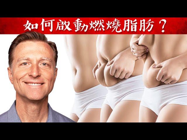 身體怎樣才會燃燒脂肪？5種簡單方法,柏格醫生 Dr Berg