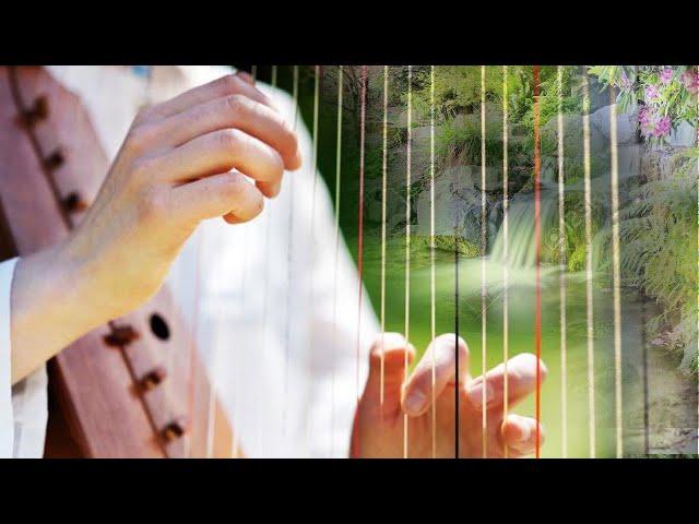 Celtic harp and superb nature, forest, spring, stream, birdsong, relaxing zen music