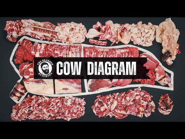 A Visual Guide to the Cuts of a Cow: Where Every Beef Cut Comes From | By The Bearded Butchers