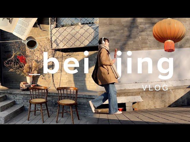 beijing vlog | days in my life in beijing (& feeling like a tourist at home...)