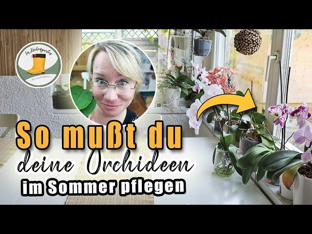  Was tun mit zu großen Zucchini?? Probiert mein REZEPT |  So überstehen deine Orchideen den Urlaub