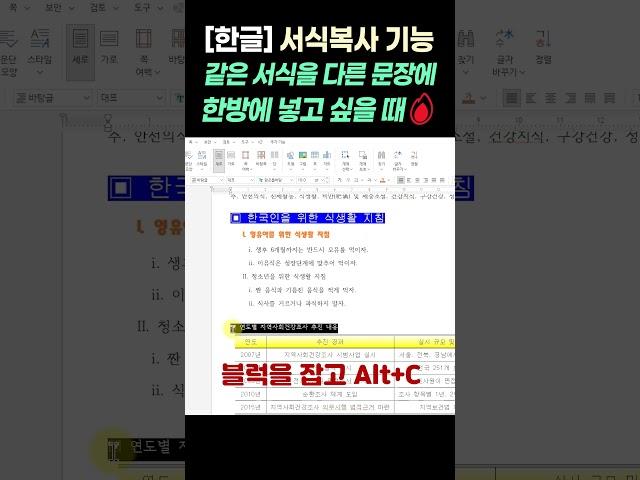 [한글] 같은 서식을 다른 문장에 한방에 넣고 싶을 때, 서식복사 기능