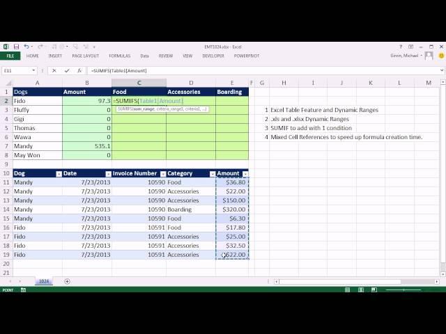 Excel Magic Trick 1024: SUMIF & SUMIFS function & Mixed Cell References & Dynamic Table Range