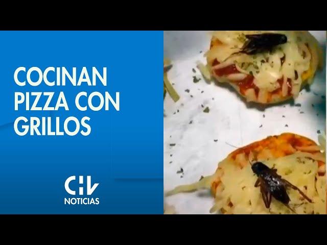 INNOVACIÓN EN LA COCINA | Crean recetas para cocinar pizza con grillos - CHV Noticias