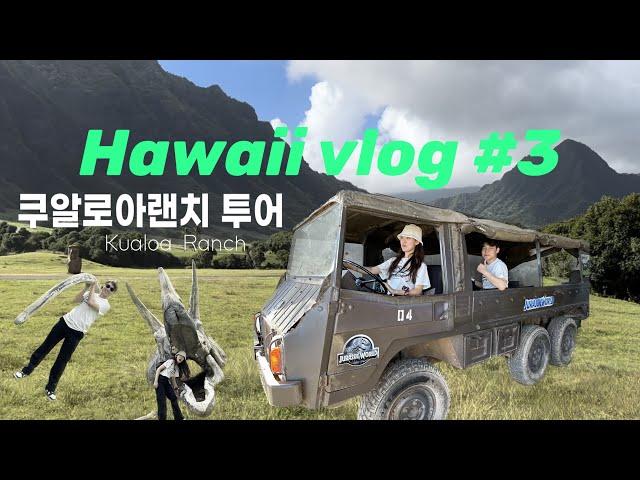 (Hawaii 하와이 신혼여행 브이로그 3편)인생샷 필수코스 쿠알로아랜치 투어...제 점수는요