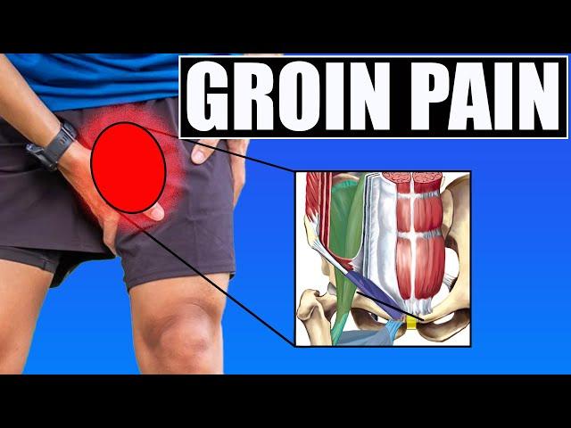 GROIN & HIP PAIN.  Best Tests & Exercises for Hip Flexor, Adductor, Pubic Symphysis & Abdominal Pain