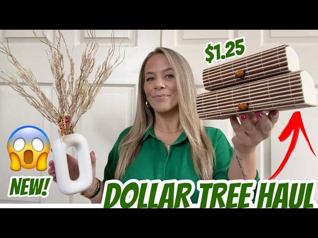 DOLLAR TREE HAUL | NEW | HIGH END FINDS | AMAZING ITEMS