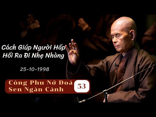 Kinh Độ Người Hấp Hối 02 [CPNĐSNC 53] TS Thích Nhất Hạnh(25-10-1998, Xóm Thượng, Làng Mai)