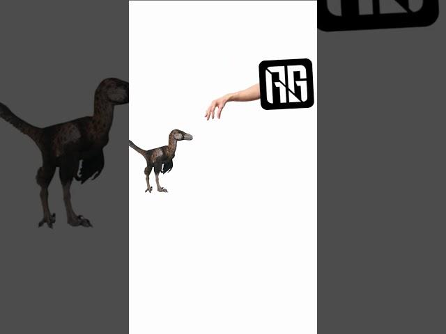 Raptors fixed  #pathoftitans  #dinosaur #animation