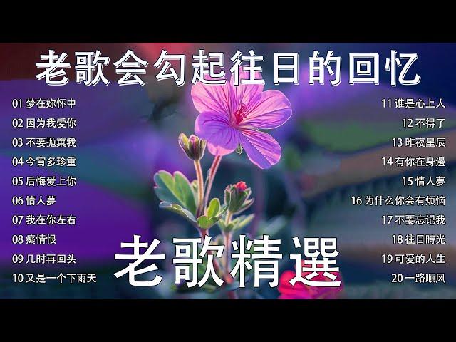 推荐50多岁以上的人真正喜欢的歌曲【老歌精選】台語一人一首成名曲《梦在你怀中/因为我爱你/不要拋棄我》名曲珍藏 丽风唱片90首原汁原味最早期香醇金曲 taiwanese classic song