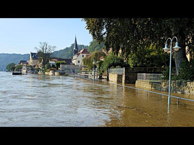 Hochwasser 2024 I Stadt Wehlen I Sächsische Schweiz I 18.09.2024