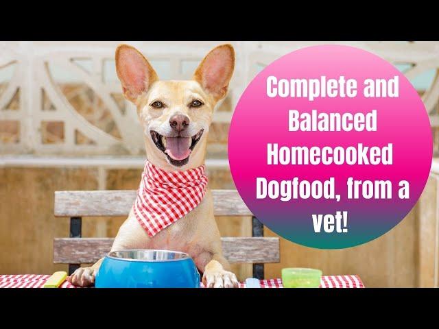 Complete and balanced home-cooked dog food from a vet! Easy instant pot homemade dog food- W/ PDF