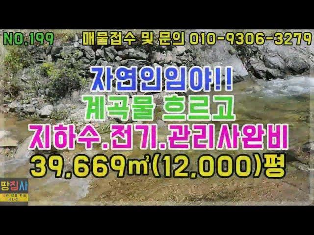 지하수, 전기, 관리사, 다 갖춘 임야 ! 맑은 계곡물 흐르고 ! 39,669㎡. 12,000평! (정선군 정선읍 임야매매)