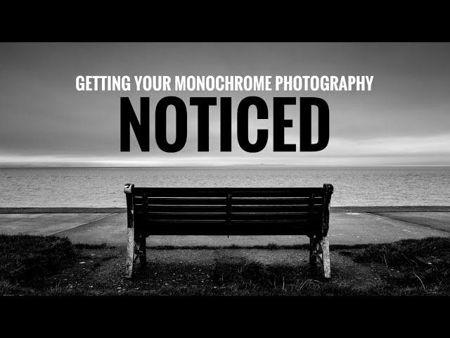 Monochrome Photography that grabs attention - Leica Q2 Monochrom