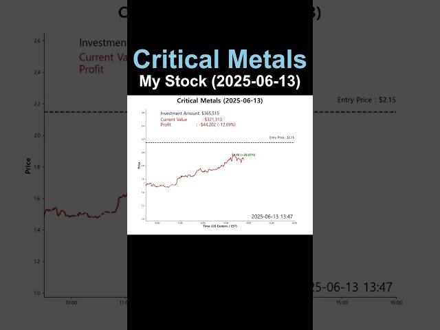 Stock Holdings - Critical Metals (2025-06-13)