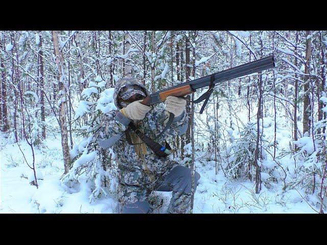 БЕЗ ВАЛЕРЬЯНКИ НЕ СМОТРЕТЬ!  ВСЯ ПРАВДА КАКИЕ БЫВАЮТ ОХОТЫ НА САМОМ ДЕЛЕ / ОХОТА НА БОРОВУЮ ДИЧЬ.