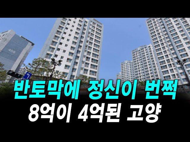 반토막에 정신이 번쩍 8억이 4억된 고양