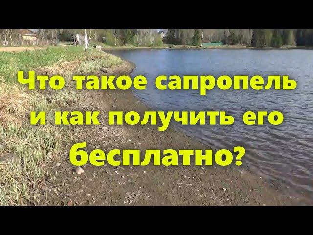 Сапропель - что это такое и как использовать (применение). Отличное удобрение для огорода.