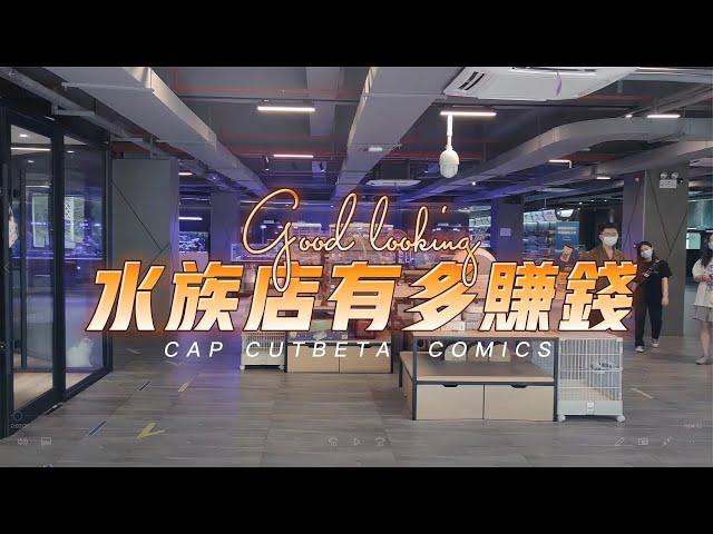 开水族店有多赚钱？卖小金鱼卖热带鱼的收入天花板，你能接受吗？