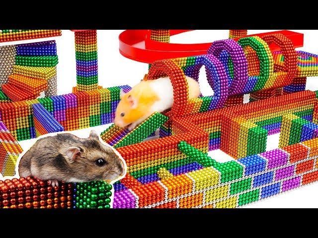 DIY - Build Fantastic Maze For Hamsters Pet From Magnetic Balls (Satisfying) - Magnet Balls