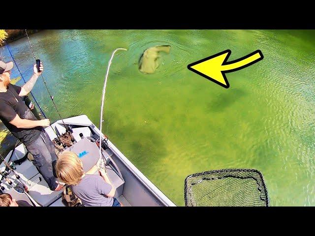 THIS is why you should fish with WORMS!! (Giant fish)