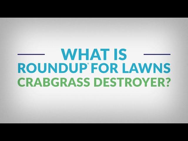 How to Use Roundup® for Lawns Crabgrass Destroyer with Comfort Wand