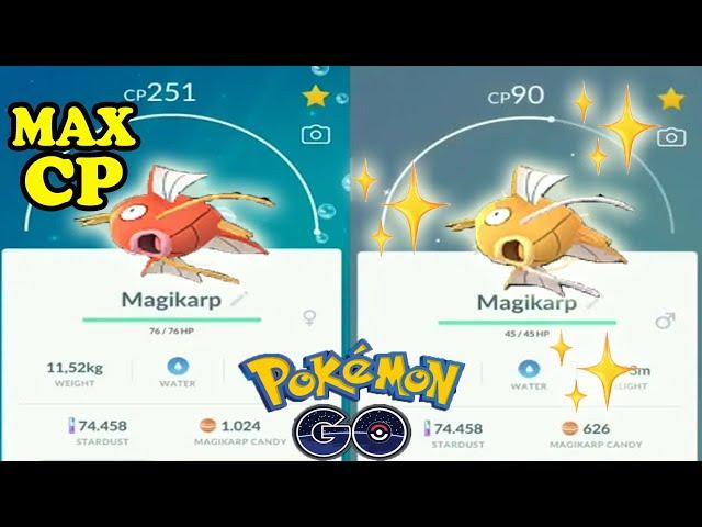 MAX CP AND SHINY MAGIKARP EVOLUTION!!