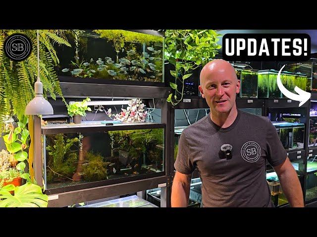 TONS OF NEW TANKS AND FISH IN THIS TROPICAL FISH ROOM TOUR!