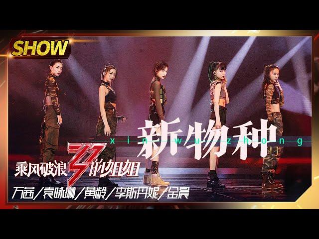 【姐姐SHOWTIME】万茜团《#新物种》 金晨李斯丹妮眼神里有戏！《#乘风破浪的姐姐》第8期【湖南卫视官方HD】