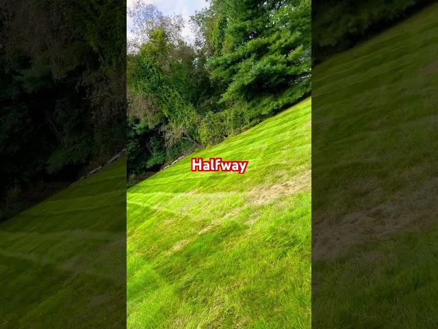 Mowing a million dollar home #landscaping #work #professional #grass #lawns #mowing #strips